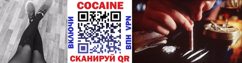 Купить закладки  Вельск  КОКАИН FishScale 