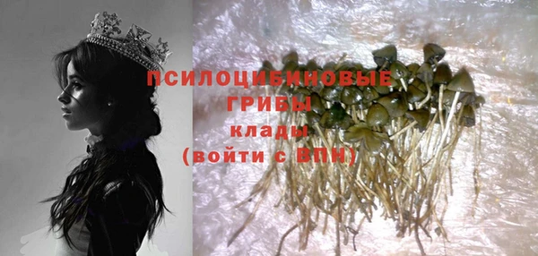 стафф Карталы