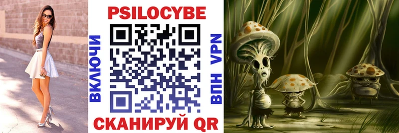 Купить где  Вельск  Псилоцибиновые грибы прущие грибы 